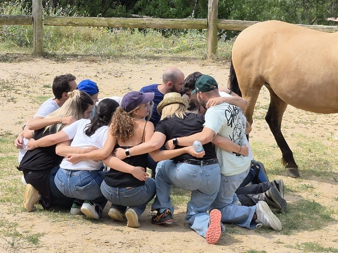 Actividad conexión con caballos
