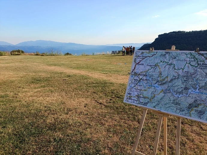 Team building activity in nature